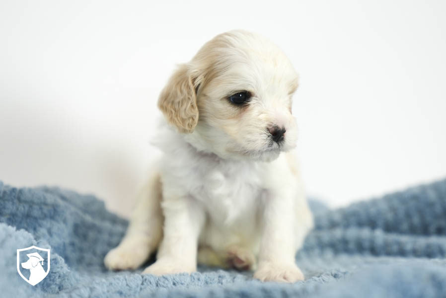 Brooke_Mar26_Black_4.22.26-01844